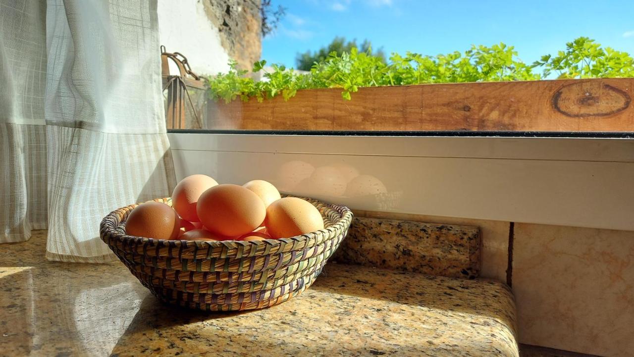Casa Natura Ainhoa ラ・オリーバ エクステリア 写真
