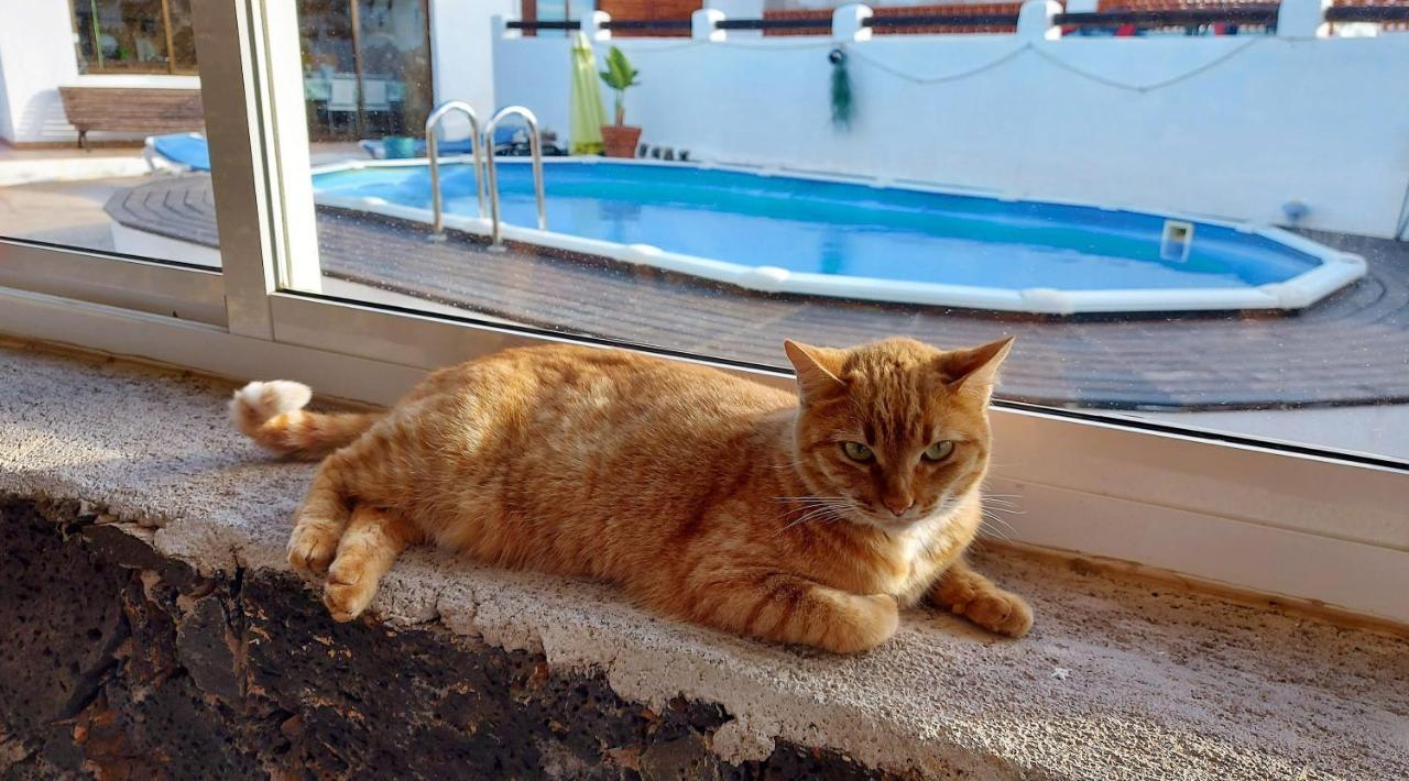 Casa Natura Ainhoa ラ・オリーバ エクステリア 写真